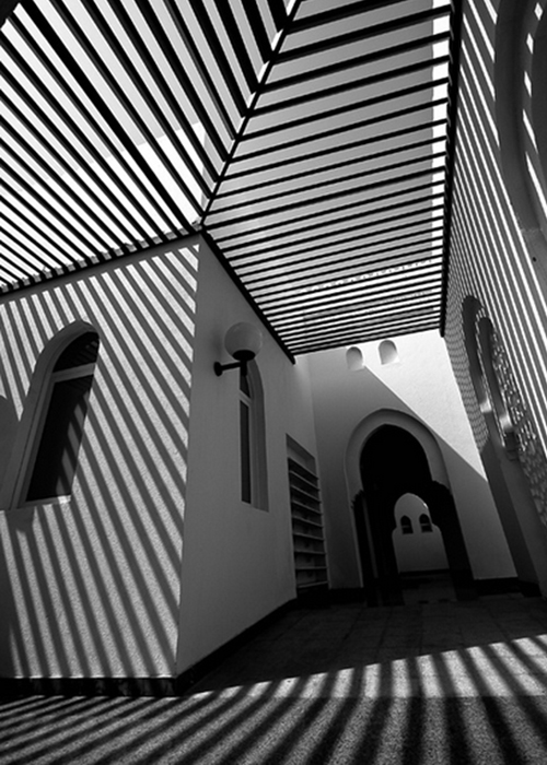 Roger-Oates_Monochrome-shadow