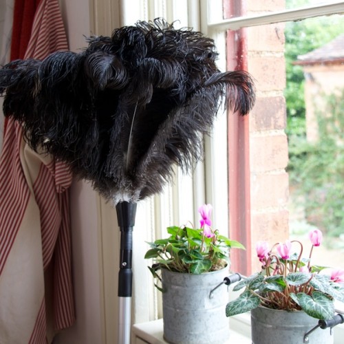 RO Feather duster